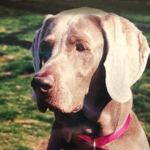 Meet your Posher, Heather